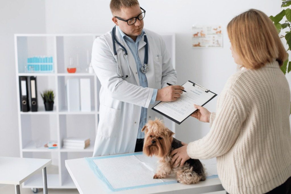 Veterinarian examining a dog with a clipboard.